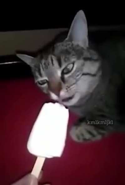 Picolé