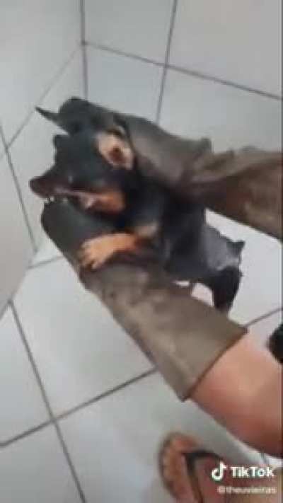 悪の中、祓魔師をお勧めします！ (Eu conheço ótimos exorcistas)