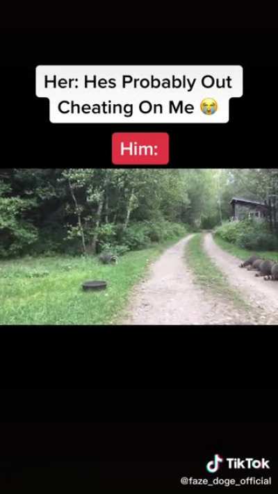Raccoon whisperer