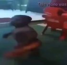 cursed_gremlin