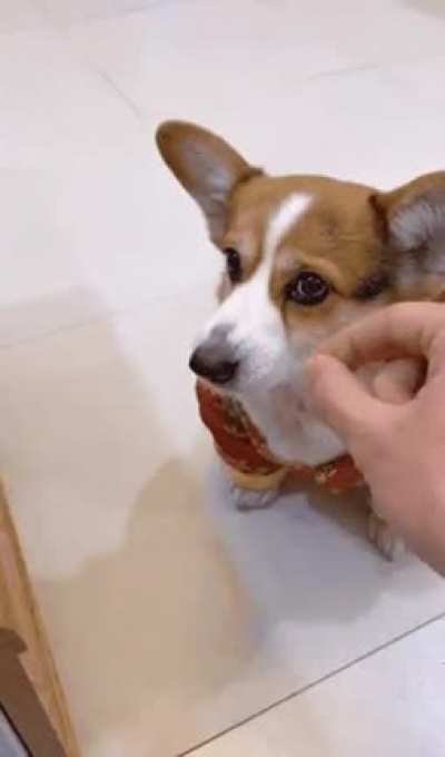 Maybe maybe maybe