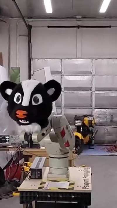 Furry_irl