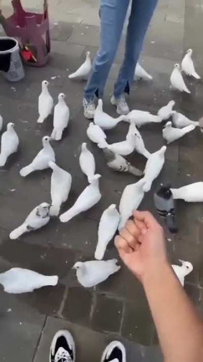 Drones