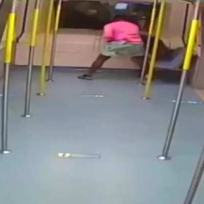 Random freak-out, Metrorail Miami.