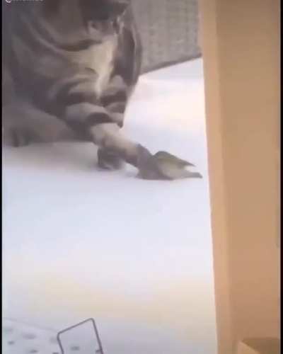 He’s dead