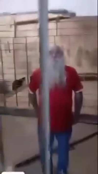 Feliz navida