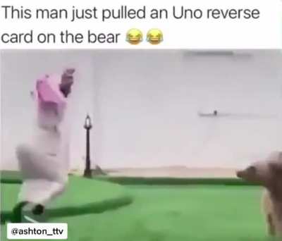 Playing tag with a bear!