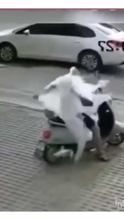 The bag tapped his ankle before jumping on him