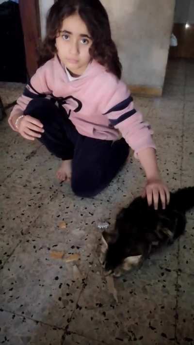My cat is hungry. I’m sorry, there is no meat available in Gaza. She has been eating bread and biscuits. I feel so sad for you.