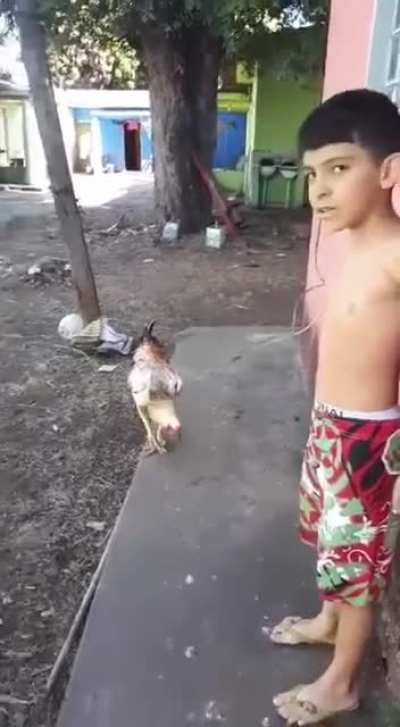 I'm not afraid of you!