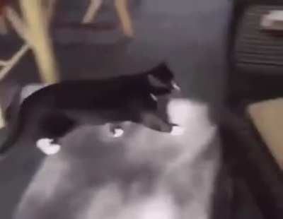 Debra, I’m sorry. I’m sorry, Debra. Please let me back in the house Debra