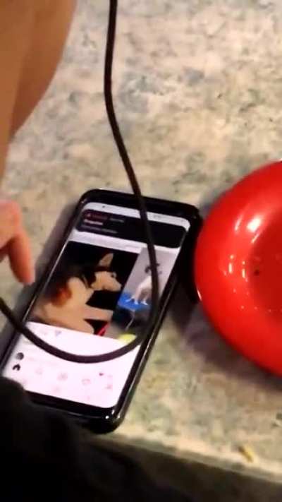 Wtf