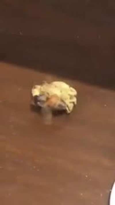 Maybe maybe maybe