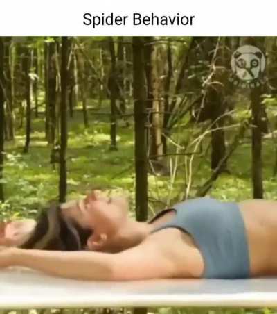 Jesse ive become a spider.