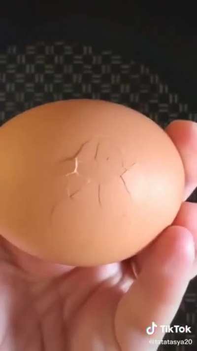 Egg
