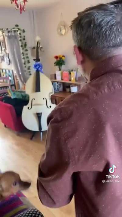 Surprising husband with a double bass for his birthday