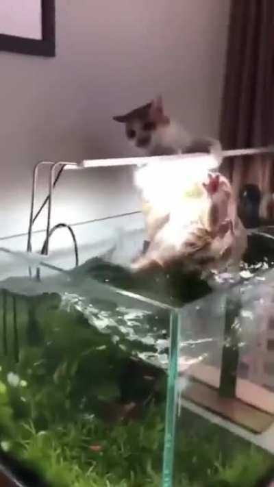 No no no no no