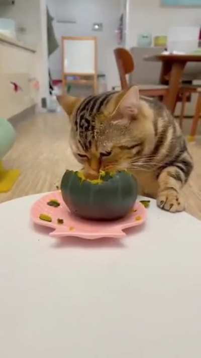 I just love me a good pumpkin