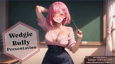NEW AUDIO!! Wedgie Bully Presentation