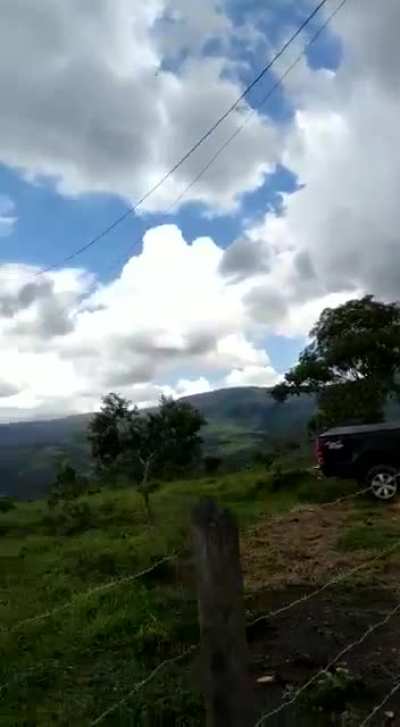Enjoying the view