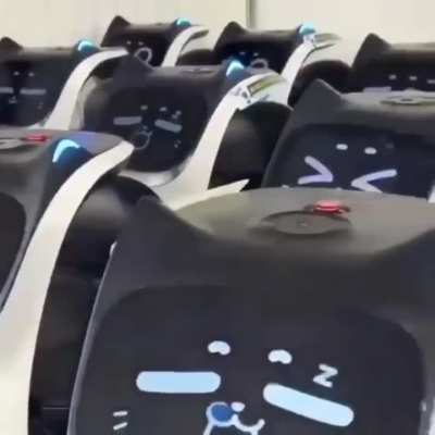 Losercity Army