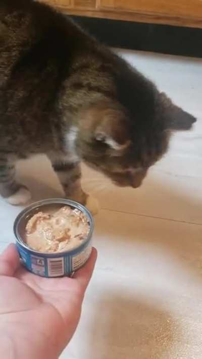 Danny doesn't like tuna