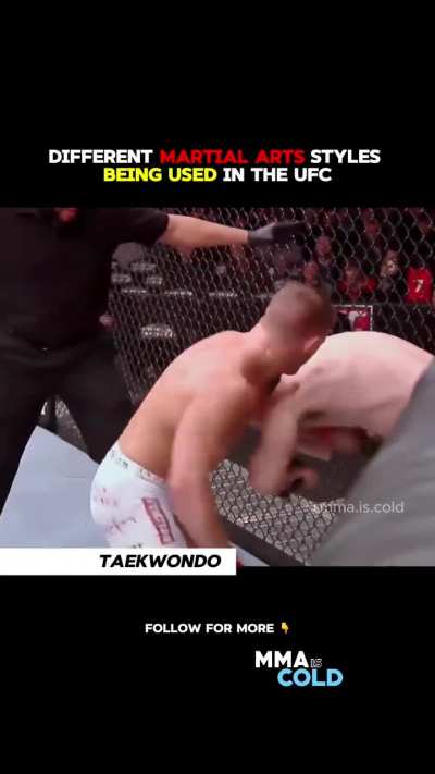Different martial arts being used in the UFC