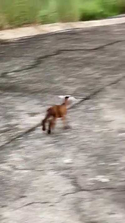 Thought this belonged here.