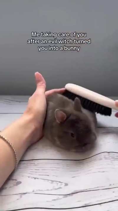 Bnuuy