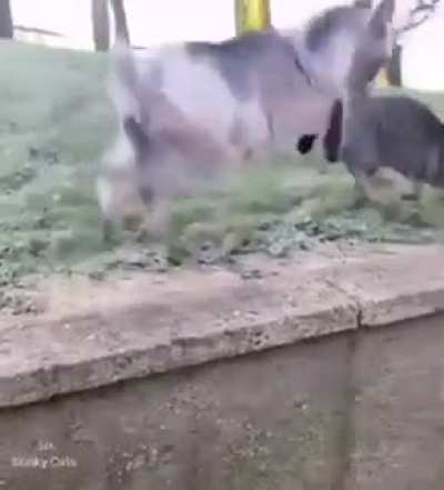 This is my place, go away