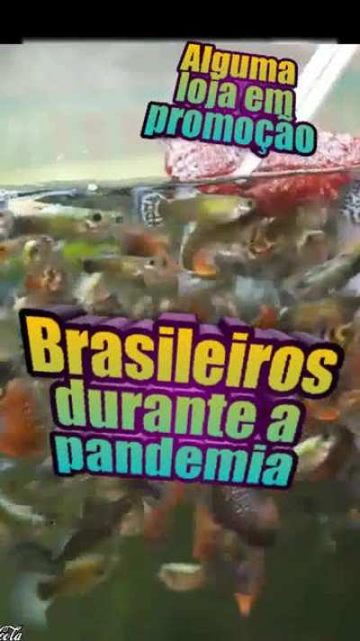 Atenção: promoção!