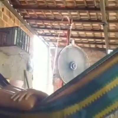 Ta de boa aqui 