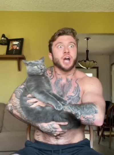 Italy cat