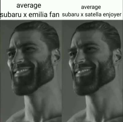 Fan vs enjoyer