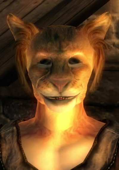 Oblivion Khajiits stare into your soul