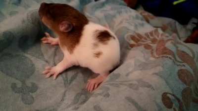 Learning to bathe 🥺
