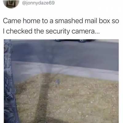 Acme Mail Delivery Co.