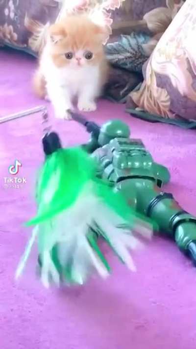Aww