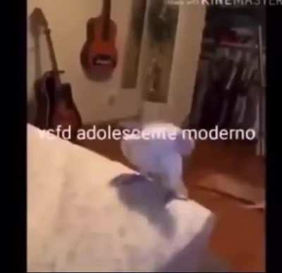 Ninguém Liga, adolescente de merda