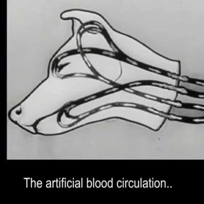 In 1940s, Russian scientists kept a dog’s head alive for a few hours.