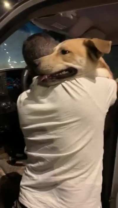 Follow up to video of a mob of 200 people in Israel descending on the house of the dog abuser. Happy video of the dog with his rescuer