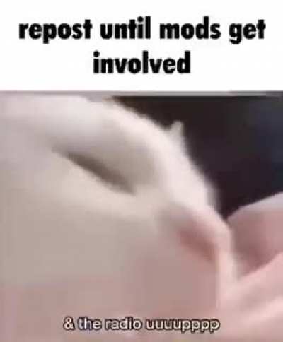 18 prob