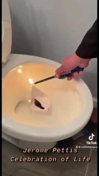just your standard fish funeral