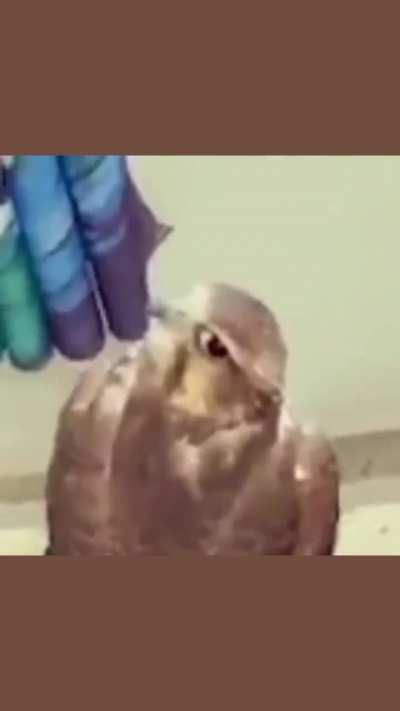 🤨🤨🤨🧐