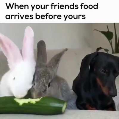 🤣😂