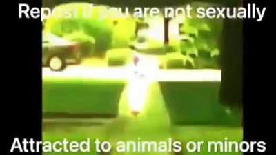 better see some reposts on here real soon