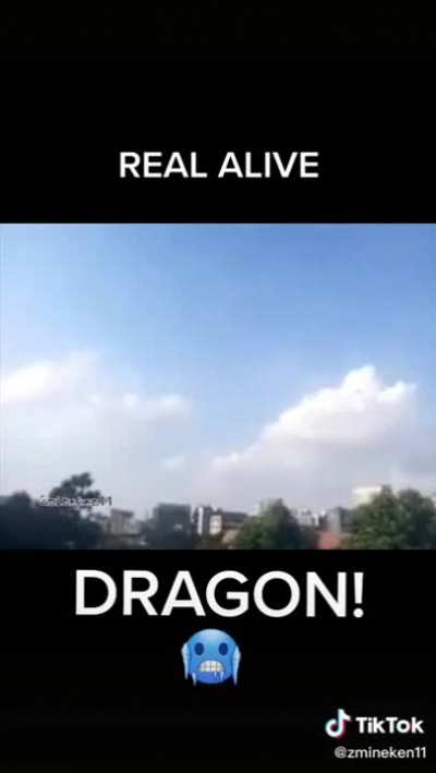 🐉