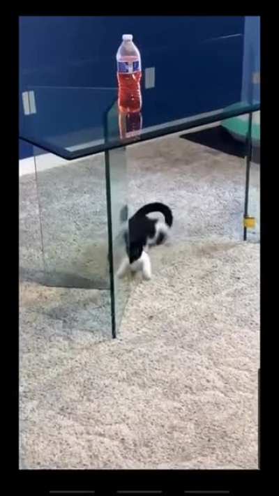 A small miscatculation