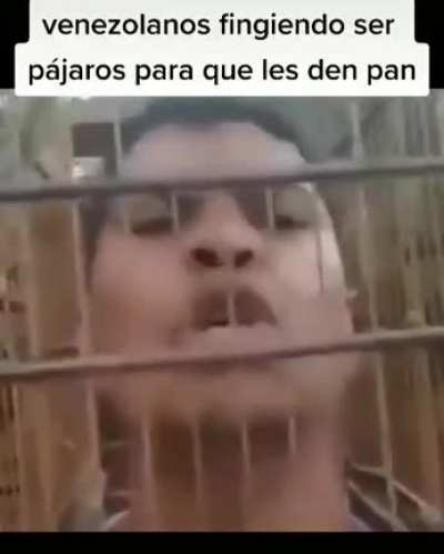 Jaja funny funny
