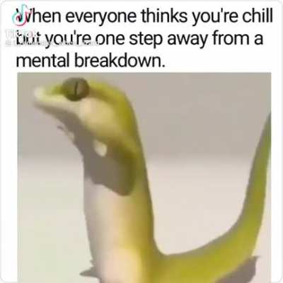 Me everyday